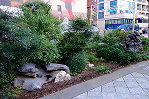 allen17